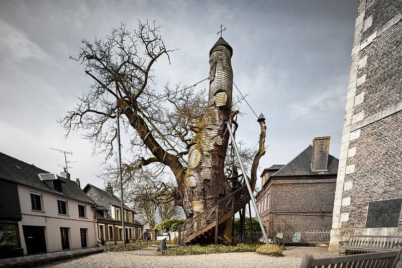 a tree that is growing out of a church