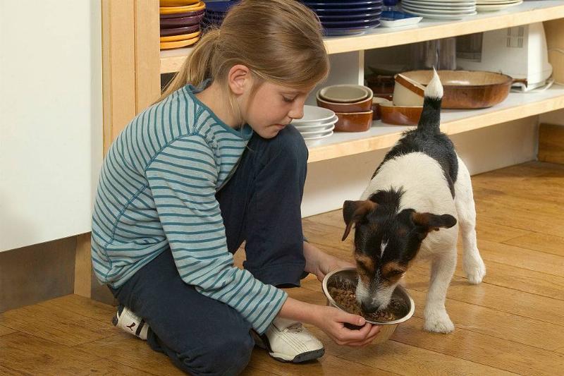 Young girl feeding small dog