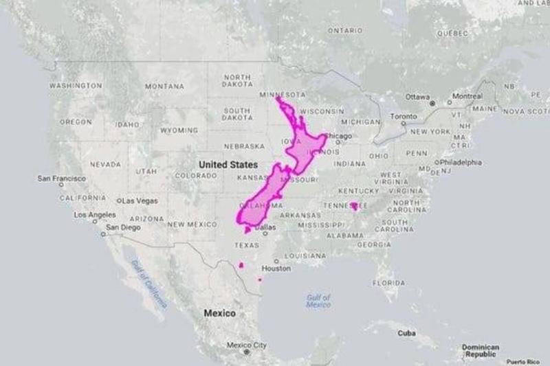 New Zealand Is Very Small Compared To The United States