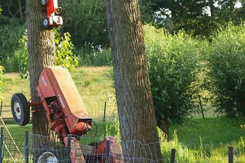 Tractor and tree 