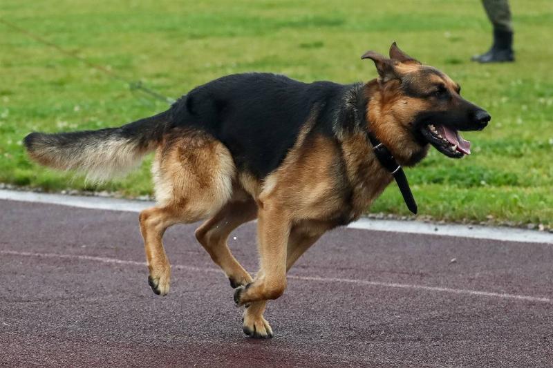 GettyImages-1228209797