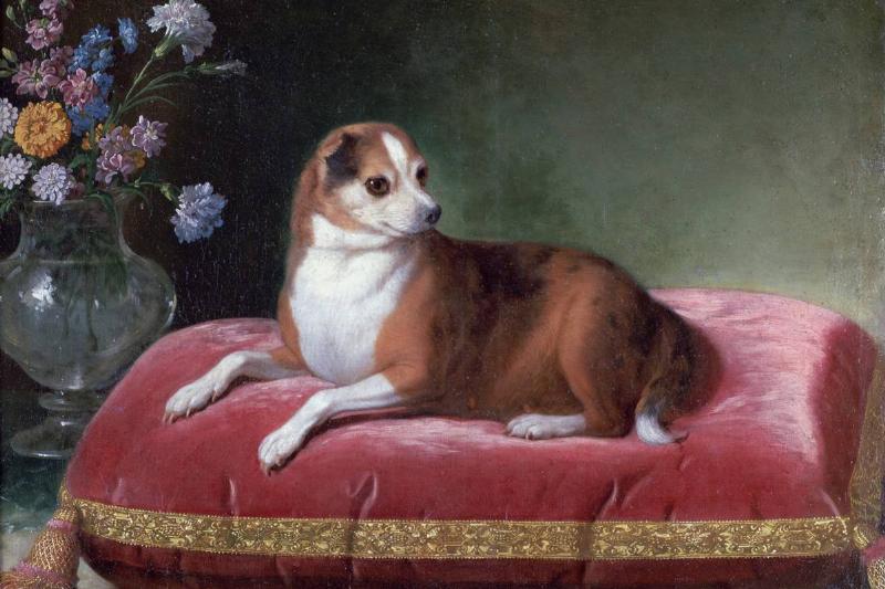 GettyImages-463913097