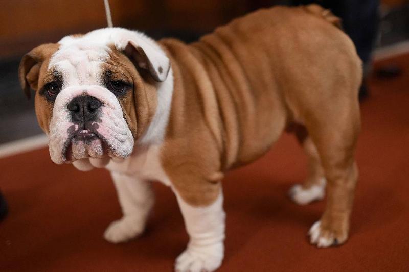 GettyImages-511711526