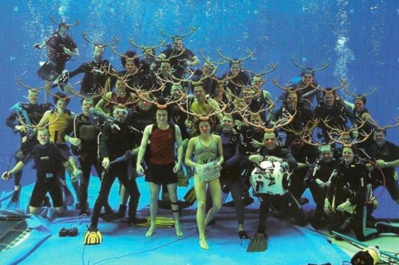 cast of Harry Potter underwater with antlers photoshopped on all of them
