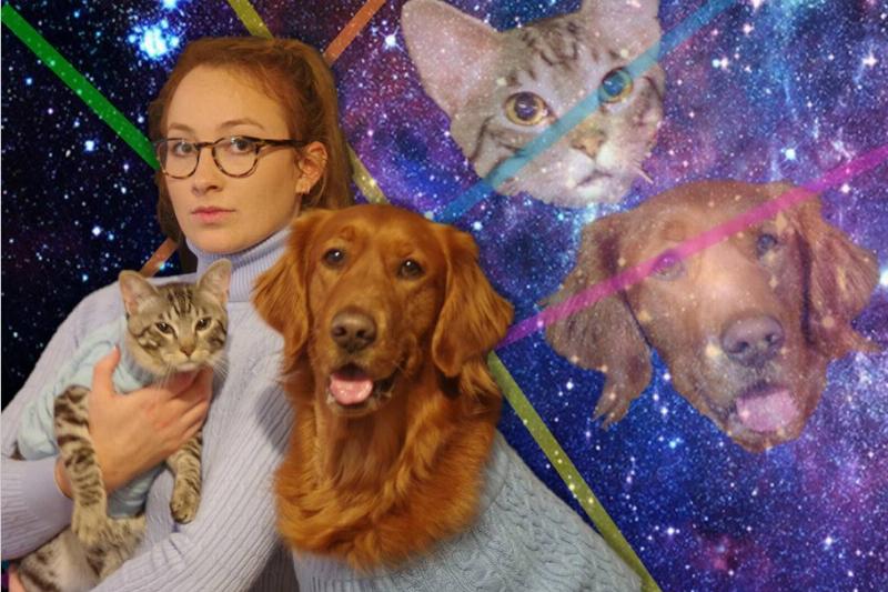woman, dog, and cat wear grey turtlenecks in front of galaxy background