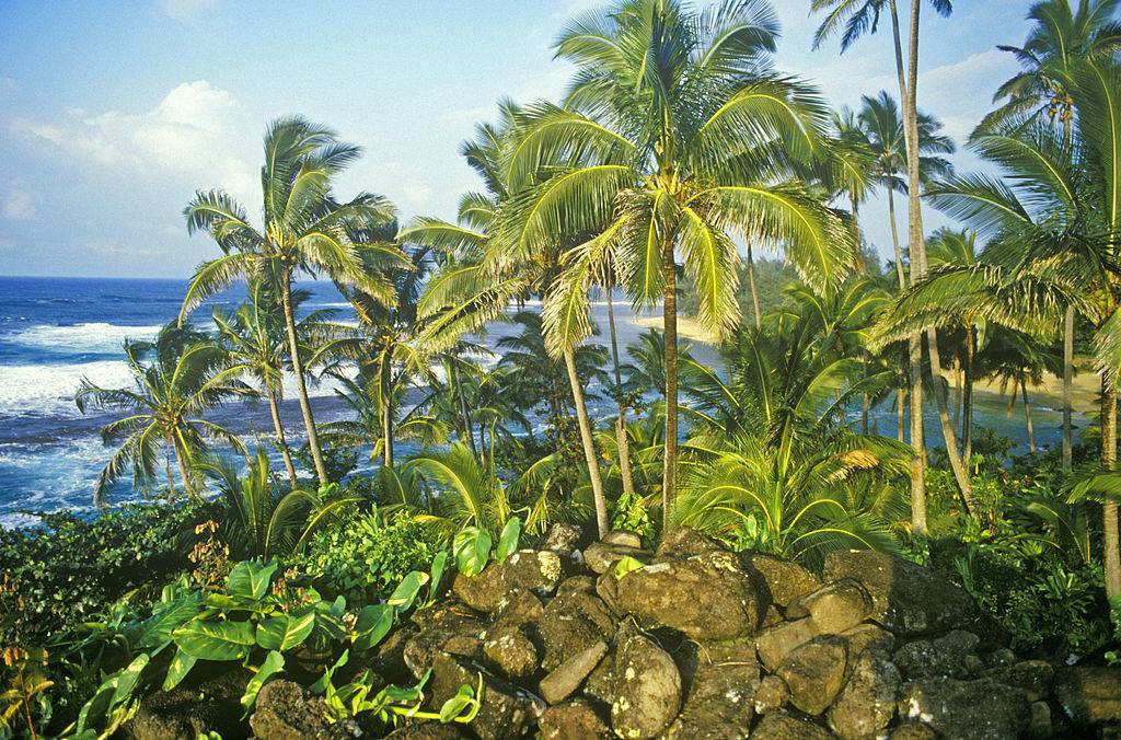 island