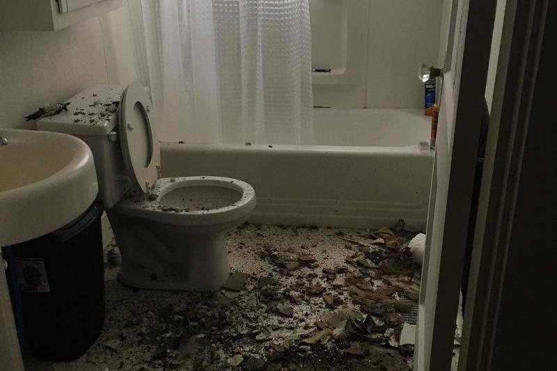 ceiling all over the floor