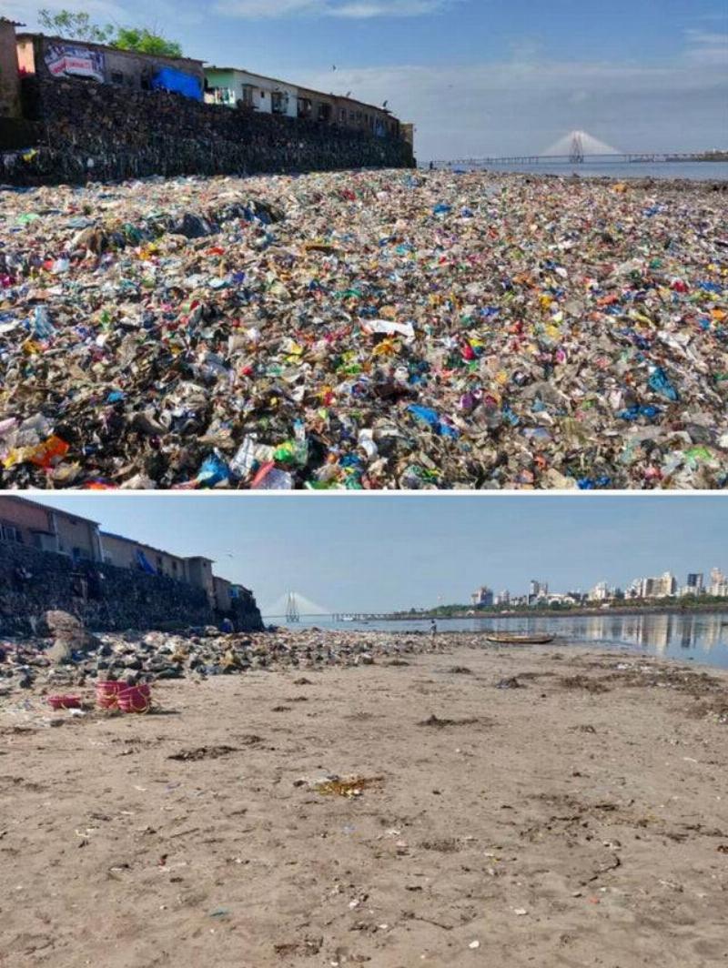 a beach before and after being cleaned up