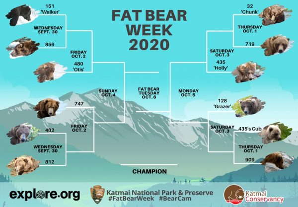 The 2020 Fat Bear Week bracket, presented by Katmai National Park and Preserve, explore.org and Katmai Conservancy