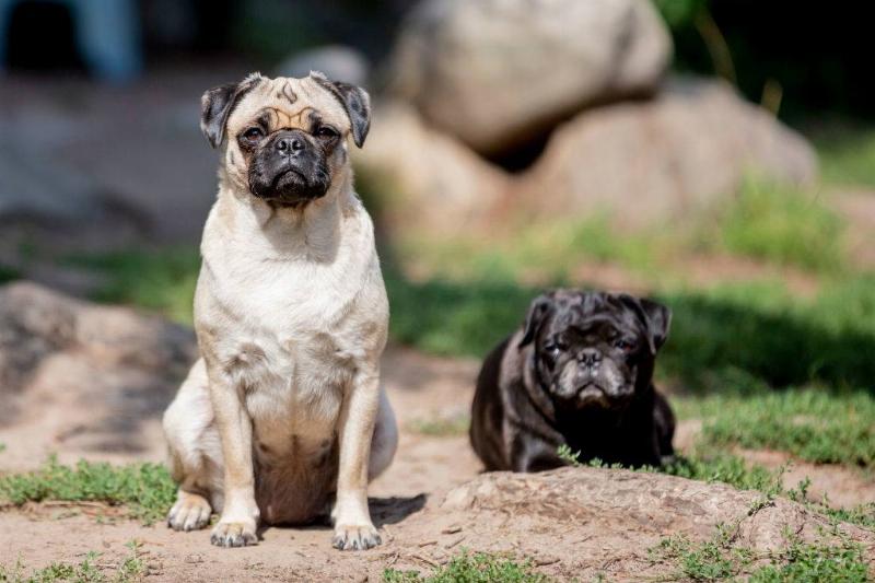 GettyImages-1161828281