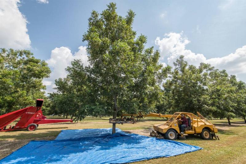 GettyImages-1177046219