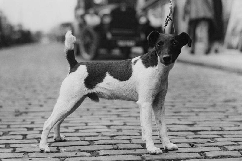 GettyImages-177649992