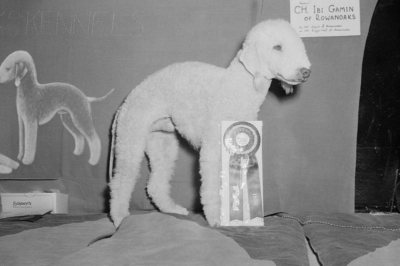 GettyImages-515418062