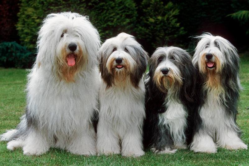 GettyImages-539276616