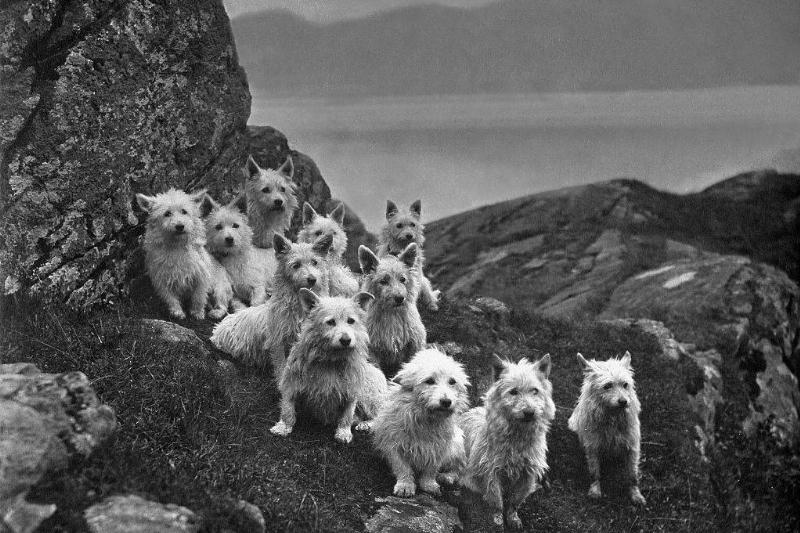 GettyImages-541549065