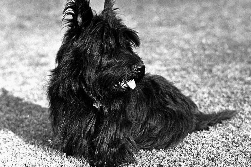 GettyImages-615296086