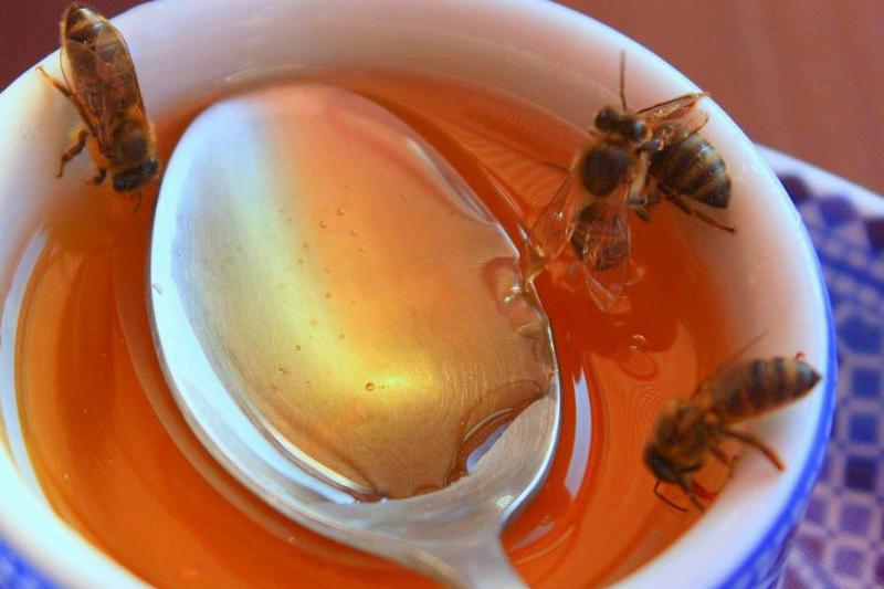 honey bees fed using water