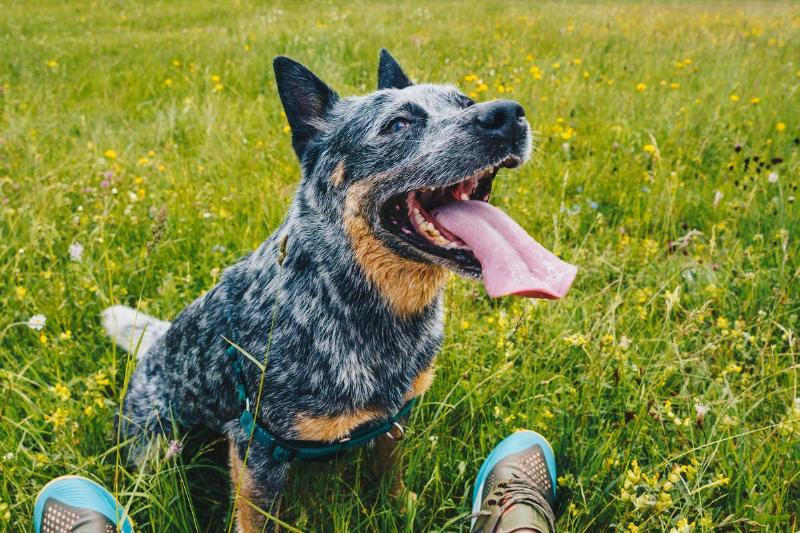 michal-vasko-HBAvs0RcE64-unsplash