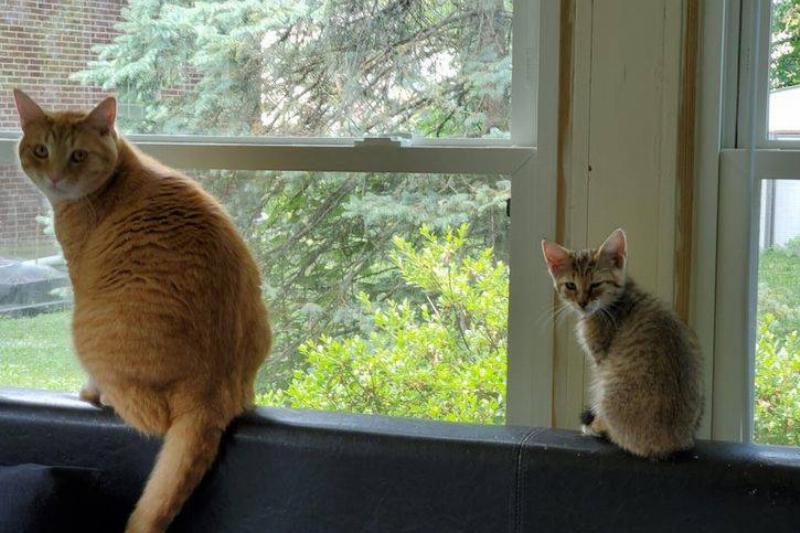 6e619b5265a8c55e972efe7115