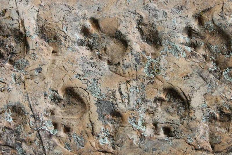 Picture of footprints 