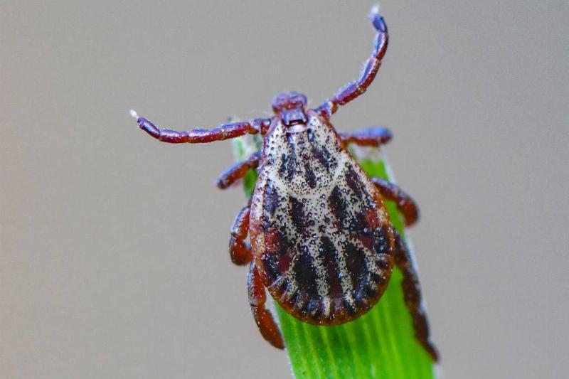 GettyImages-1228423932