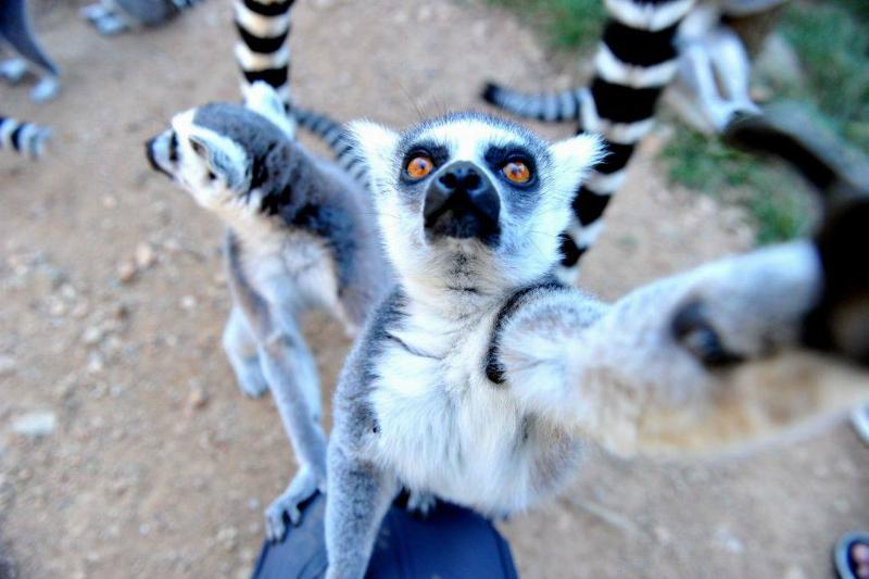 GettyImages-1228631004