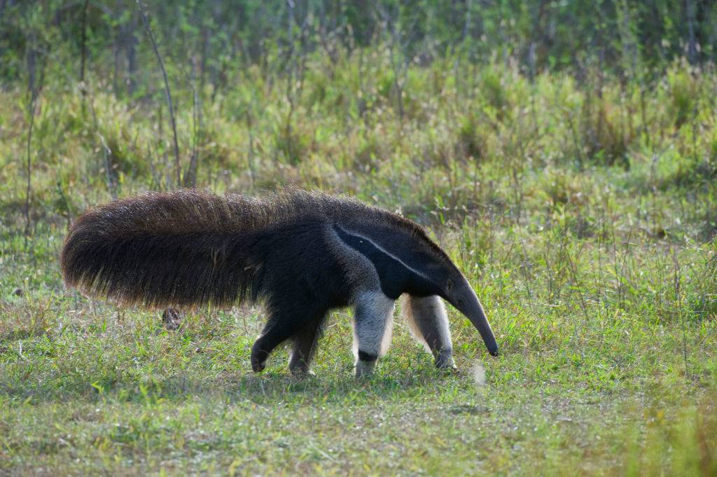 GettyImages-453512020