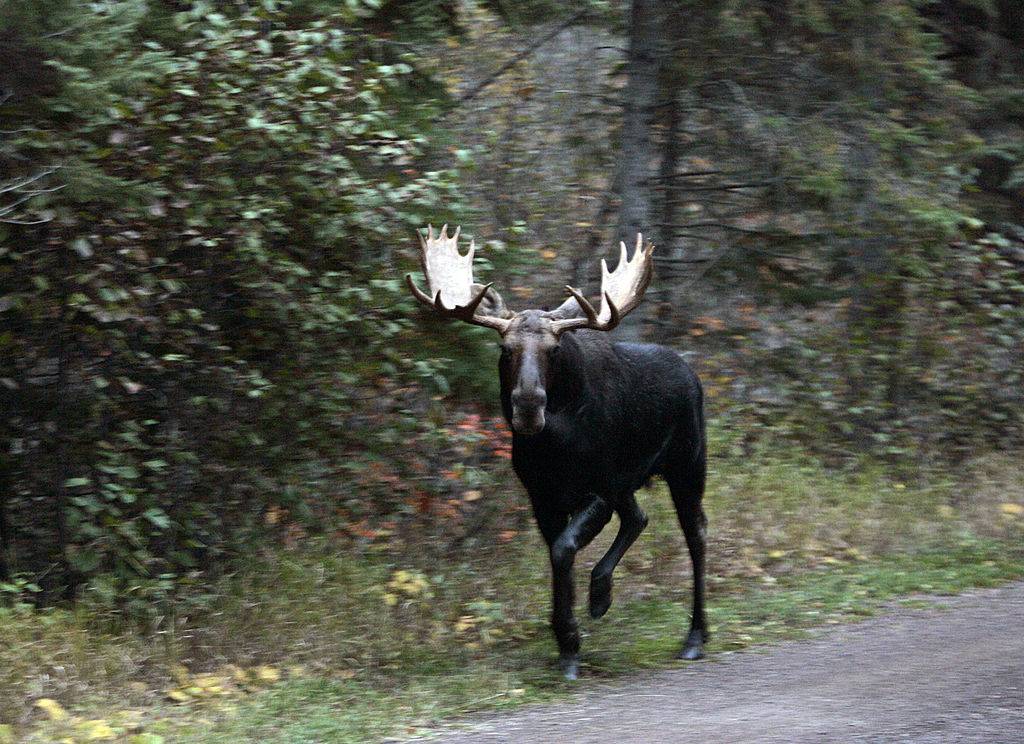 GettyImages-55992785