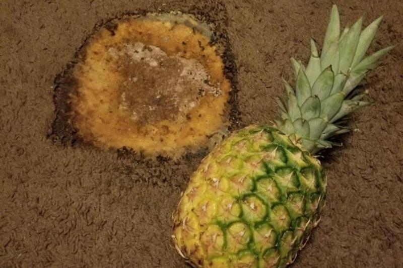 burn-hole-in-the-carpet-71605