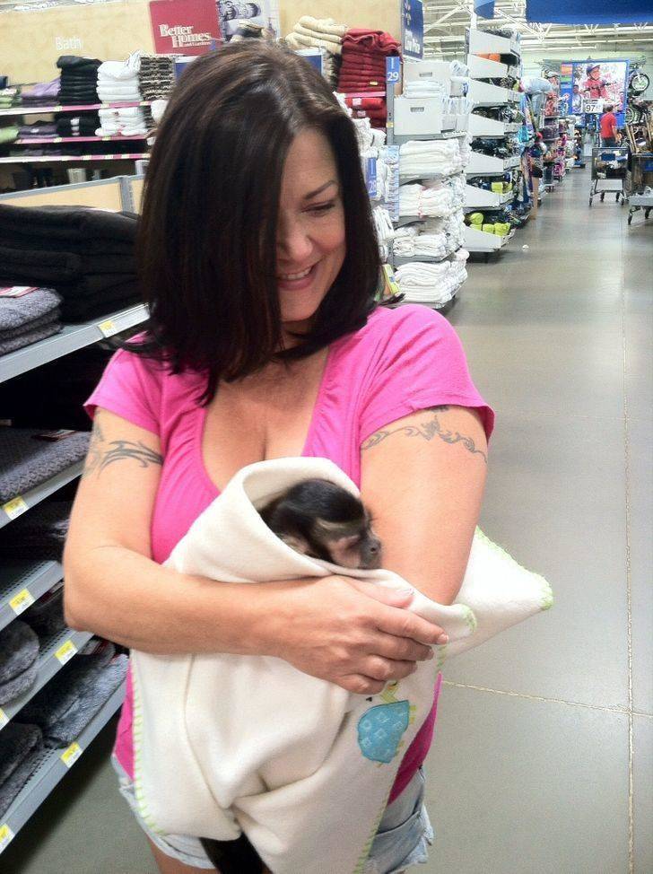 moneky-walmart-42423