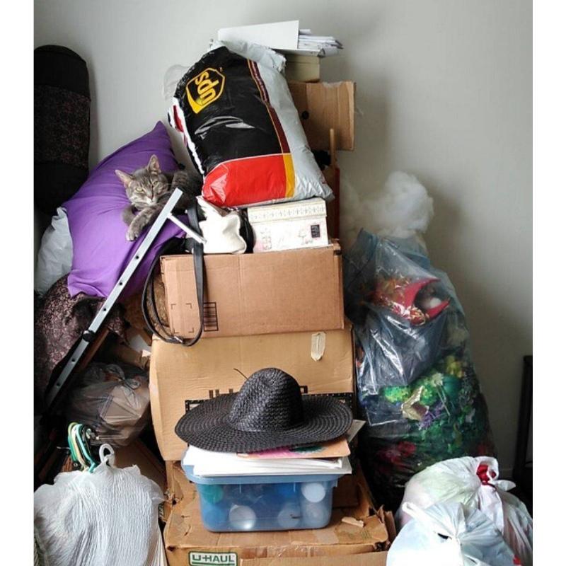 moving-in-or-moving-out-63910