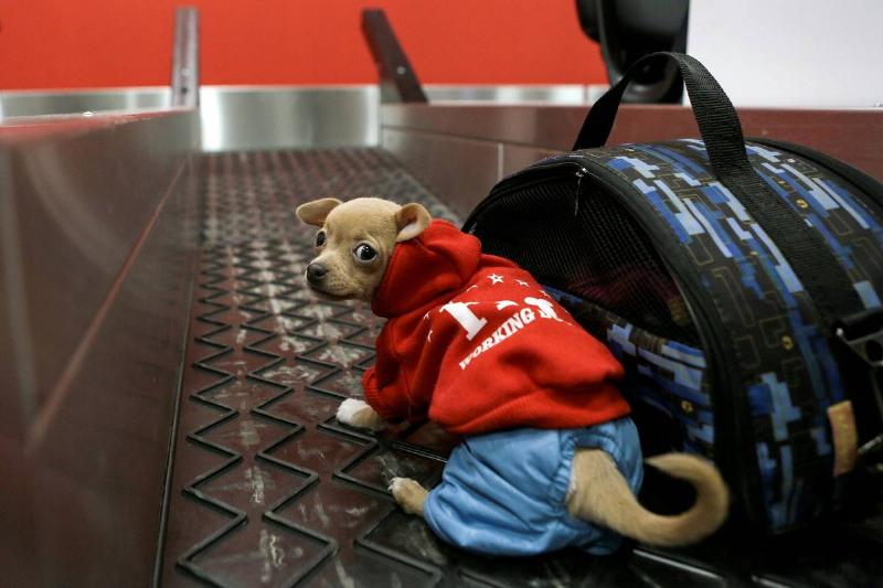 New terminal of Chelyabinsk International Airport