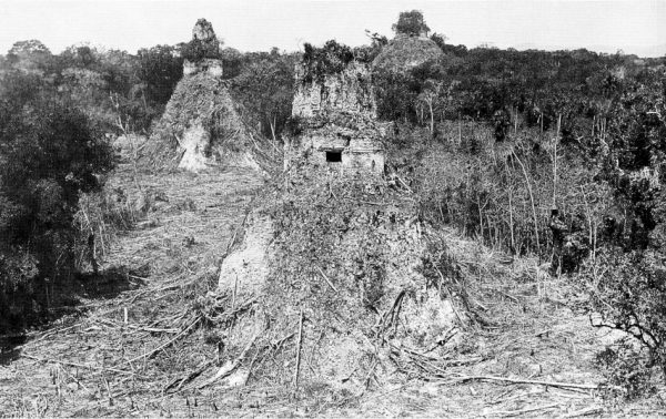 Tikal from 1882, taken after vegetation had been cleared