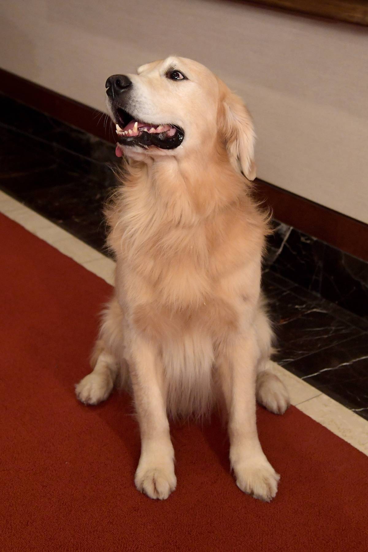 Crosby Showed No Warning Signs