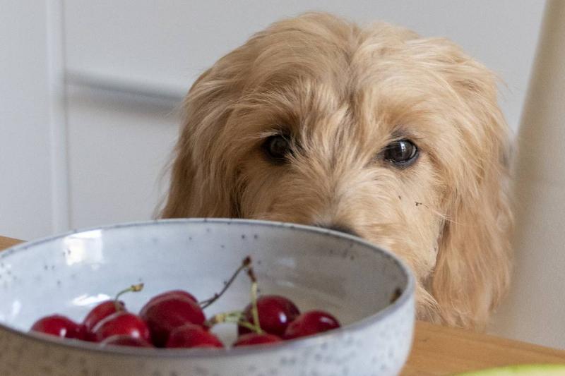 Crosby's Behavior Wasn't Normal