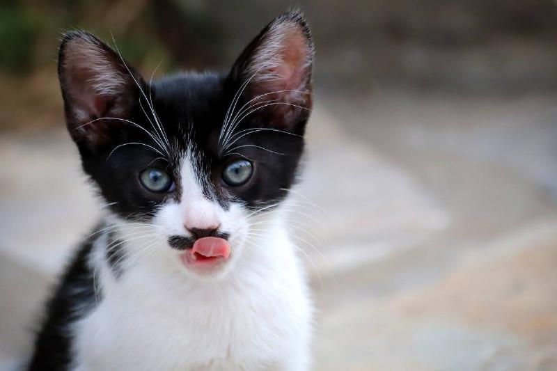 First Things First: A Bath