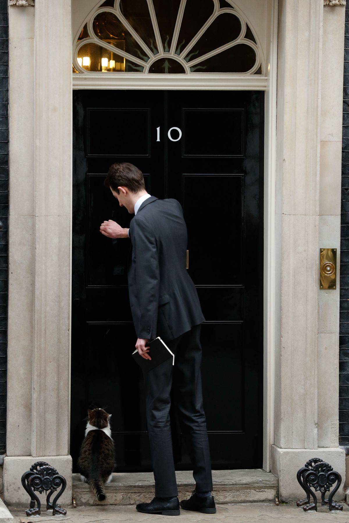 George Went Door To Door Asking About An Owner