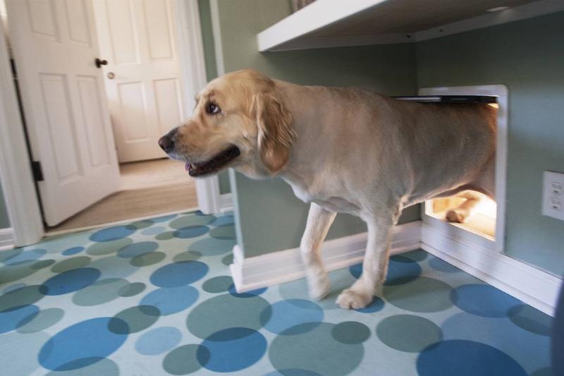 Soon, The Wall Was All But Forgotten