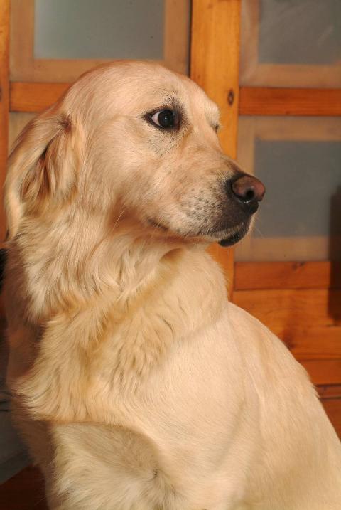 The Camera Was A Bust