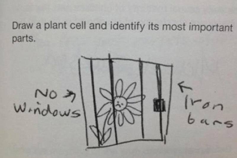 brilliant-kids-test-answers-7-81160