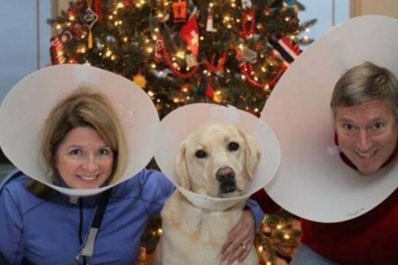 family-cone-photo-01-42656-48723 (1)