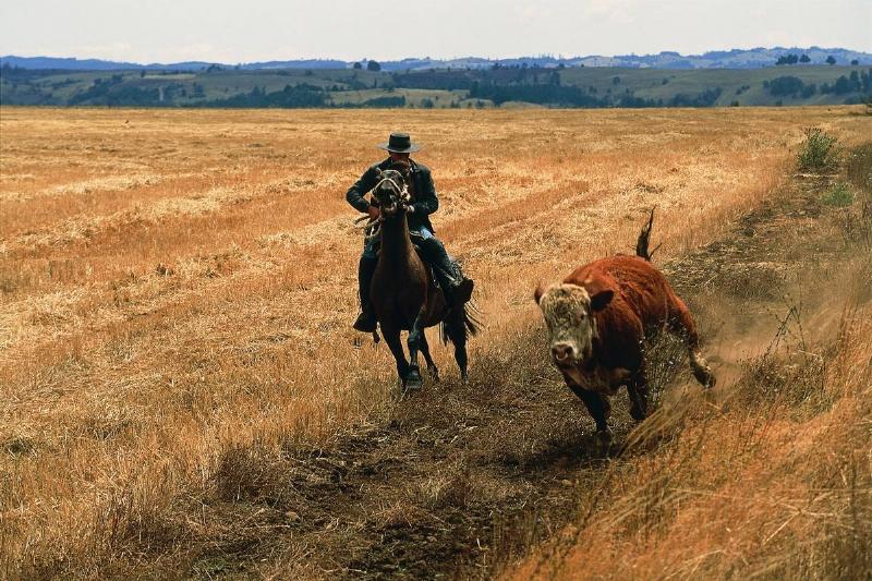 Life Of A Cowboy Was Dirty From Beginning To End