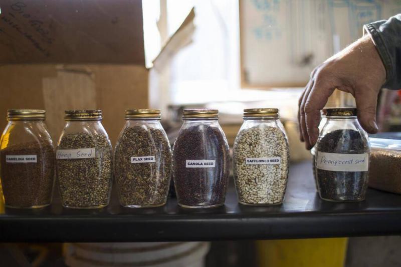 The Mighty Flax Seed