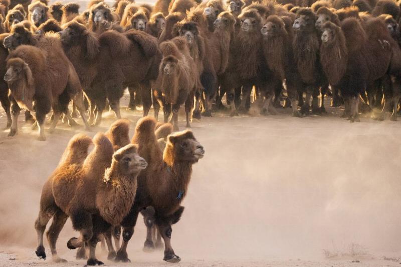 The Tale Of The Red Ghost