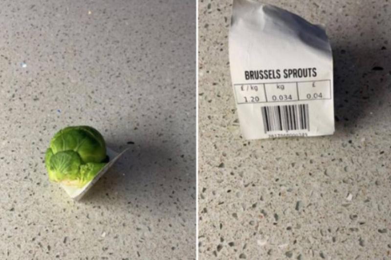 person with singular brussel sprout with label