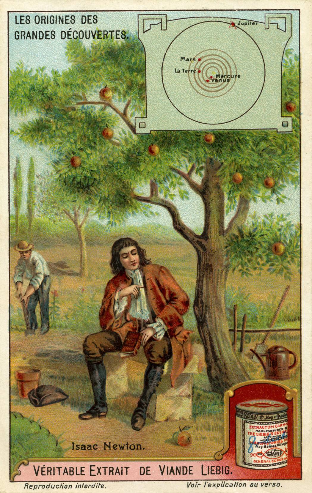 Sir Isaac Newton and the theory of gravity