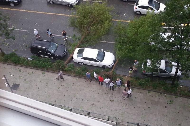 car falls right in between trees