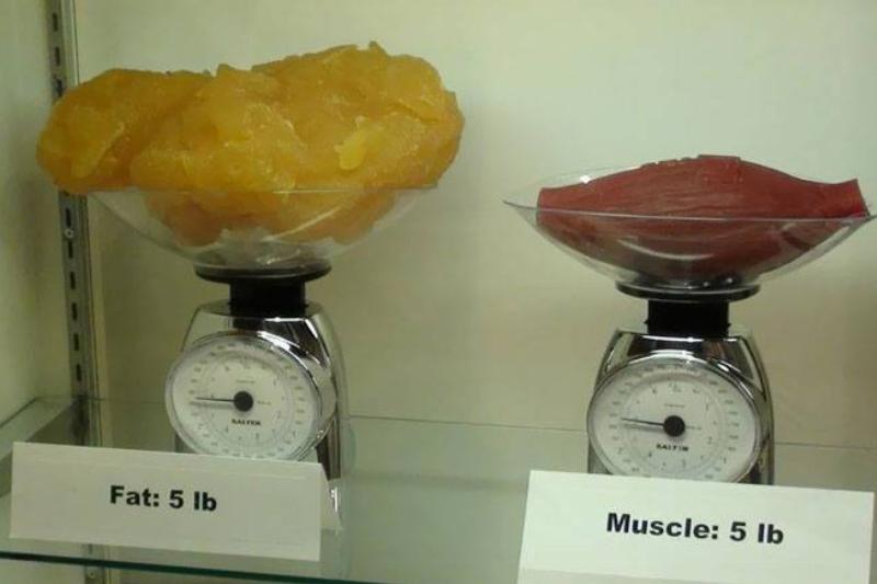 pound difference 