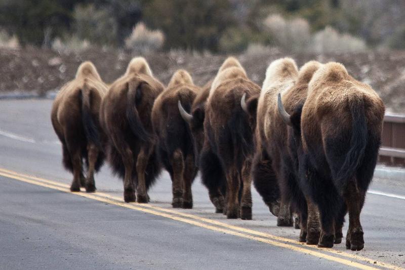 GettyImages-170767616