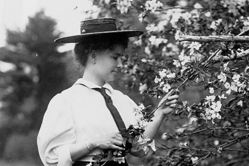 Picture of Helen Keller 